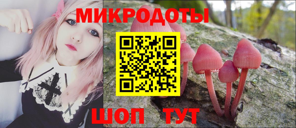 Псилоцибиновые грибы Psilocybe Луховицы